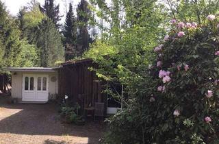 Einfamilienhaus kaufen in 35321 Laubach, Wohnen mit Charakter: Einfamilienhaus / Wochenendwohngebiet