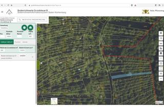 Grundstück zu kaufen in Mönchbergweg 14096, 69121 Handschuhsheim, Kleingarten mit altem Wald