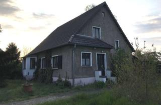 Einfamilienhaus kaufen in Feldstraße, 39317 Parey, Ruhiges Wohnen am Feldrand in Elbnähe - Einfamilienhaus auf 1523 m² Grund in Elbe-Parey (Derben)