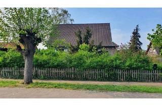 Einfamilienhaus kaufen in Feldstraße, 39317 Parey, Ruhiges Wohnen in Elbnähe - ausbaufähiges Einfamilienhaus auf 1523 m² Grund in Elbe-Parey (Derben)