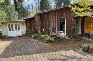 Haus kaufen in 35321 Laubach, Laubach - Haus mit großen Gartengrundstück am Bach