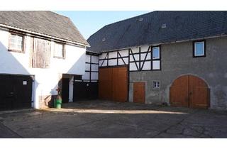Einfamilienhaus kaufen in 04703 Leisnig, Leisnig - Großzügiges Einfamilienhaus mit Nebengelass