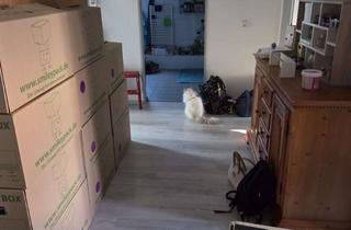 Wohnung mieten in Jasminweg, 16816 Neuruppin, Nachmieter zum 01.06.2026 gesucht