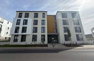 Wohnung mieten in Adolf-Reichwein-Straße 25, 63517 Rodenbach, Moderne Neubau-2-Zimmer-Wohnung mit Garten im Zweitbezug