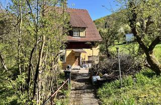 Haus kaufen in Bergstr. 15, 99706 Sondershausen, Einfamilien- oder Ferienhaus am Waldrand von Sondershausen