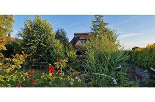 Haus kaufen in 25794 Tielenhemme, Rückzugsort an der Eider- Reethaus mit Bootsliegeplatz -Traumblick und Ruhe garantiert