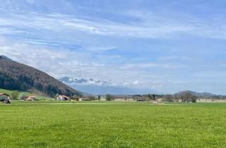 Wohnung mieten in Krokusstraße, 83346 Bergen, 64qm Dachgeschoßwohnung mit Bergblick - Erstbezug nach Sanierung