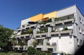Wohnung mieten in Lützowstr., 90491 Nürnberg, Top Lage! Renovierte 5-Zimmer-Wohnung mit großem Balkon sucht nette Mieter
