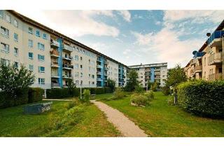 Wohnung mieten in Goerdelerstr. 41, 91058 Bruck, Renovierte 2-Zimmer-Wohnung im Erdgeschoss mit kleinem Garten und Terrasse