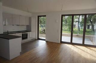 Wohnung mieten in Am Carlsgarten 12, 10318 Karlshorst, Schöne, geräumige zwei Zimmer Wohnung in Berlin, Karlshorst