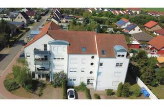 Wohnung mieten in Neue Reihe 1a, 06766 Bitterfeld-Wolfen, Frisch renovierte Mietwohnung in 06766 Thalheim.Willkommen in Ihrem neuen Zuhause.
