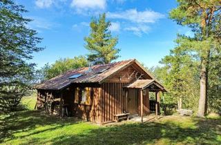 Haus kaufen in 07368 Remptendorf, 3,5 ha Land mit Jagdhütte - in der Nähe der beiden Saaletalsperren (A1619)