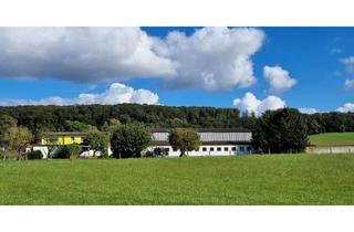 Haus kaufen in 34388 Trendelburg, Von privat zu verkaufen_Kaufpreis auf Anfrage