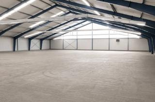 Gewerbeimmobilie kaufen in Taubenried 15, 72511 Bingen, Tennishalle / Padel-Tennis /Bingen-SIG