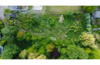 Grundstück zu kaufen in 39171 Sülzetal, Großzügiges Grundstück mit vielseitigem Entwicklungspotenzial in Osterweddingen