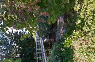 Wohnung kaufen in Seigerhüttenweg 50, 38855 Wernigerode, Ruhige zentrale Wohnung mitten in Wernigerode/Harz in grüner Lage