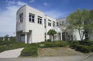 Gewerbeimmobilie mieten in 63128 Dietzenbach, 735 m² Hochwertige Bürofläche in Dietzenbach Provisionsfrei zu vermieten