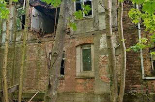 Haus kaufen in 19086 Plate, Plate - Grundstück 8721m² & Ruine Gutshaus Radepohl 500m² KEIN DENKMAL!