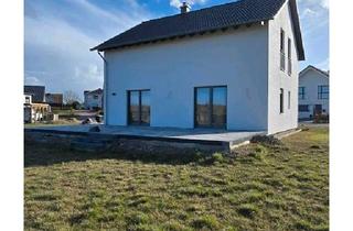 Einfamilienhaus kaufen in 23972 Dorf Mecklenburg, Dorf Mecklenburg - Modernes Einfamilienhaus in Ostseenähe