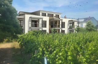 Wohnung mieten in Mauthausstr. 10a, 88149 Nonnenhorn, Neubauwohnung im Weindorf Nonnenhorn am Bodensee