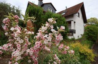 Wohnung mieten in 64319 Pfungstadt, - Souterrain in Pfungstadt -