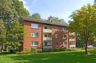 Wohnung mieten in Berliner Straße 52, 49479 Ibbenbüren, Demnächst frei! 2-Zimmer-Wohnung in Ibbenbüren Püsselbüren