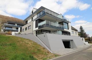 Wohnung mieten in Im Wangertsfeld 29, 54294 Zewen, Luxuriöse Wohnung aus 2019 in Trier Zewen