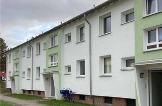 Wohnung mieten in Am Behnckenhof 27, 23554 St. Lorenz Nord, Da kommt man gern Heim. 1-Zimmer-Single-Appartment
