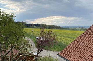 Wohnung mieten in 89171 Illerkirchberg, Liebenswert, lebenswert – Ideal für eine Person