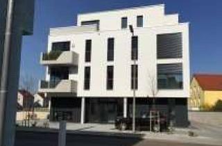 Wohnung mieten in Am Wasserwerk, 85055 Ingolstadt, Helle, moderne Wohnung - lässt keine Wünsche offen