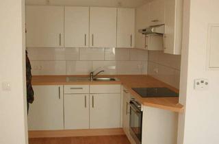 Wohnung mieten in Bahnhofstrasse, 49525 Lengerich, Top Sanierte 2-ZimmerWohnung in bester Citylage