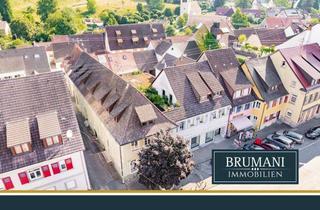 Haus kaufen in 79295 Sulzburg, BRUMANI | Renditestarkes Anlageobjekt – 465 m² Fläche, Wohnungen & Gewerbe kombiniert