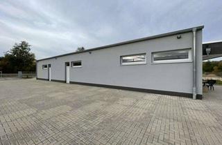 Gewerbeimmobilie kaufen in 29225 Celle, Investitionsmöglichkeit in Celle - Kapitalanleger aufgepasst!