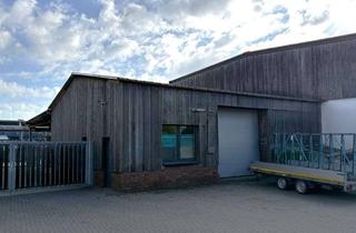 Gewerbeimmobilie mieten in 46325 Borken, Vielseitige Gewerbehalle in bester Lage von Borken-Weseke!
