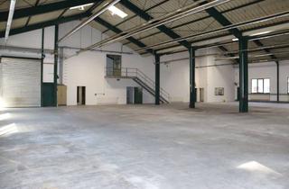 Büro zu mieten in Bohrrainstr. 10, 75239 Eisingen, -----PROVISIONSFREI----- Vielseitig nutzbare Gewerbehalle mit Büro und Sozialräumen !!