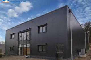 Gewerbeimmobilie kaufen in 48488 Emsbüren, Modernes Betriebsgebäude im beliebten Gewerbegebiet von Emsbüren