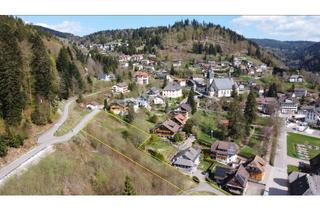 Grundstück zu kaufen in 79682 Todtmoos, Baugrundstück in exklusiver Hang- und Waldrandlage mit Panoramablick in Todtmoos