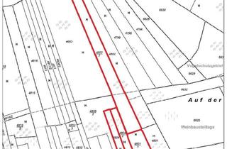 Grundstück zu kaufen in Oberst-Barret-Str., 67487 Maikammer, 4 forstwirtschaftliche Flächen an der Südlichen Weinstraße