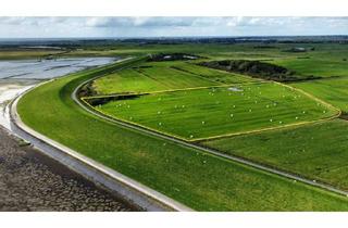 Grundstück zu kaufen in "Raans-Mersk", 25980 Sylt, Attraktive Landwirtschaftsfläche am Deich