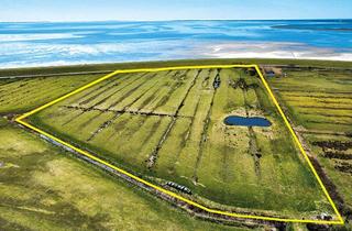Grundstück zu kaufen in "Raans-Mersk", 25980 Sylt, Keitum - idyllische Grünlandfläche am Deich
