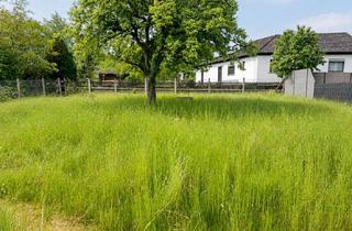 Grundstück zu kaufen in 90574 Roßtal, Grundstück in bester Lage von Roßtal!
