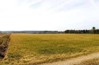 Grundstück zu kaufen in 86946 Vilgertshofen, LANDWIRTSCHAFTLICHE WIESENFLÄCHE in IDYLLISCHER LAGE nahe LECH!GEMARKUND MUNDRACHING/GEMEINDE V...