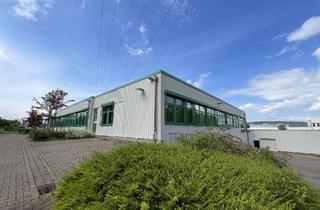 Lager kaufen in 32457 Porta Westfalica, Investmentgelegenheit, Großhandel/Büro/Lager in etablierter Lage, Eigennutzung und Investment