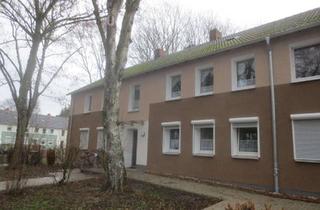 Wohnung mieten in Eltener Str. 21, 45964 Gladbeck, Nette Nachbarn gesucht: günstige 2,5-Zimmer-Wohnung im Erdgeschoß mit Terrassenzugang