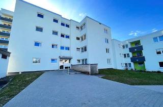 Wohnung mieten in Hans-Böckler-Straße 42, 91257 Pegnitz, 1,5 Zimmer-Wohnung in Pegnitz