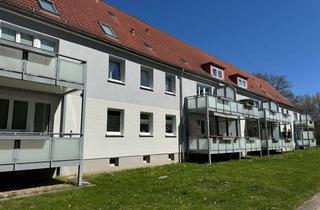 Wohnung mieten in Dockstr., 23569 Kücknitz, Gemütliches Zuhause im Erdgeschoss – Ruhe inklusive