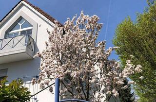 Wohnung mieten in Alt Lorsbach 2b, 65719 Hofheim am Taunus, Helga