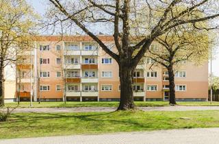 Wohnung mieten in Bodo-Uhse-Straße, 03044 Schmellwitz, Schöne Wohnung in beliebter Lage