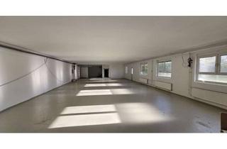 Gewerbeimmobilie mieten in Hanauer Strasse, 63549 Ronneburg, Helle beheizte Gewerbehalle zu vermieten, saniert mit Wärmepumpe