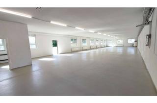 Gewerbeimmobilie mieten in Hanauer Strasse, 63549 Ronneburg, Helle beheizte Gewerbehalle zu vermieten, saniert mit Wärmepumpe